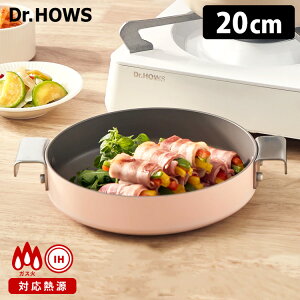 y100~OFFN[|zDr.HOWS PLATING p Eh 20cm ی^p ΁EIHΉ hN^[nEX v[eBO