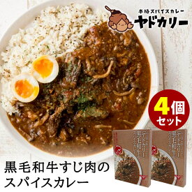 黒毛和牛すじ肉のスパイスカレー 大阪天満橋ヤドカリー 4個セット ミッション レトルトカレー 【ポイント5倍】【食品A】【DM】【p0603】【海外×】