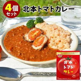 北本トマトカレー 4個セット （200g×4） レトルトカレー 【食品A】【DM】【海外×】
