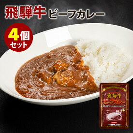 飛騨牛ビーフカレー 4個セット （200g×2） 飛騨高山牧場 レトルトカレー 【メール便送料無料】【食品A】【DM】【海外×】