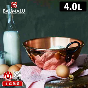 y300~OFFN[|zyTtzBaumalu ̃yXg[{E 26cm i4L {E t   {E}j y|Cg10{//VR[Xp`܂tzyp1211zyF810z