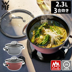 y9/17 11:59聚1000~N[|zyTtzWMF t[WebN ~l CX|bg 20cm 3 2.3L ѓ 10Nۏ  H` Wt F[GGt y|Cg10{/`
