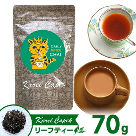 カレルチャペック デイリースパイスチャイ リーフティー 70g入 （パック入り Pack 茶葉 チャイティー karelcapek ルフナ シナモン ジンジャー 人気 定番 フレーバー 山田詩子）【ポイント2倍/メール便送料無料】【食品A】【DM】【p0603】