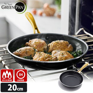 �y���T�t�zGREENPAN �X�g�D�f�B�I �t���C�p�� 20cm �iIH�E�K�X�ΑΉ� CC007339-004 �S�[���h �u���b�N �y�� �I�[�u������ �I�V���� SNS studio �f���� �� �� �M���� �O���[���p���j�y�|�C���g10�{/������