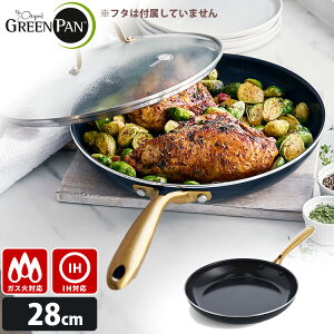 �y���T�t�zGREENPAN �X�g�D�f�B�I �t���C�p�� 28cm �iIH�E�K�X�ΑΉ� CC007341-004 �S�[���h �u���b�N �y�� �I�[�u������ �I�V���� SNS studio �f���� �� �� �M���� �O���[���p���j�y�|�C���g10�{/������