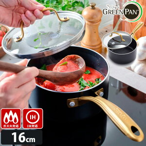 �y���T�t�zGREENPAN �X�g�D�f�B�I �\�[�X�p�� 16cm �i�K���X�W�t IH�E�K�X�ΑΉ� CC007337-004 �S�[���h �u���b�N �y�� �I�[�u������ �I�V���� SNS studio �f���� �� �� �M���� �O���[���p���j�y�|�C��