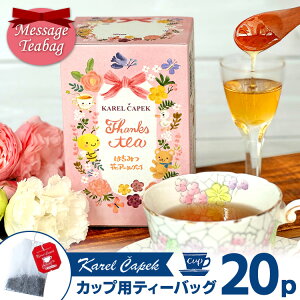 J`ybN TNXeB[ ݂͂ԃA[OC fC[20P p ibZ[WeB[ karelcapek JbvpeB[obO  Thanks Teajy|Cg2{zyHiAzyDM