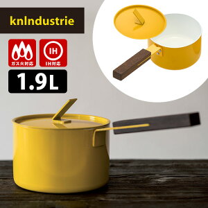 y500~OFFN[|zyTtzTHE SAUCEPAN F\[Xp 16cm knIndustrie iKXEIHΉ 1.9L Ў t^t ~Np H@Ή r^~J[jy|Cg5{//`FbN