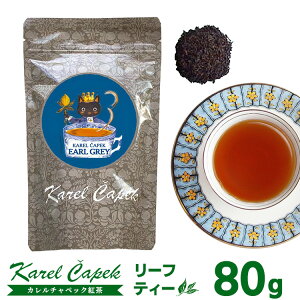 J`ybN A[OC [teB[iPack80gj y|Cg2{/[։zyHiAzyDMzyp1106z