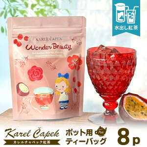 J`ybN _[r[eB[ |bgpeB[obO8P iog X^hpbN 24t C{XeB[ mJtFC ACXeB[ karelcapek jy[։zyHiAz