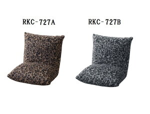 y2ZbgzJ@JbNNCi[@RKC-727@A/B@2Zbg@yszykCEEzszVv@Xc[@܂肽݁@IV