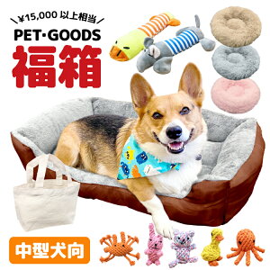     ybg xbh xbg NbV  Mtg v[g yݑ  H~ t  ^ ^