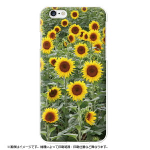 S@Ή iPhone 16e iPhonese3 iPhone16PLUS iPhone16Pro iPhone16ProMAX iPhone15 iPhone15Pro iPhone12 iPhone13 P[X Ђ܂   ʐ^