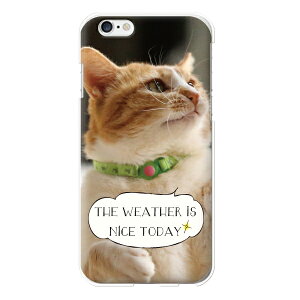 S@Ή X}zP[X O[OsNZ8a O[OsNZ7a 7pro 7v P[X android so-52c so52b sog07 so41a MNV[s22 n[hP[X킢  \ lR L ˂ ʐ^