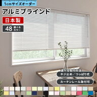 ブラインド オーダー アルミ ブラインドカーテン アルミブラインド カーテンレール 取り付け 可 浴室 遮…
