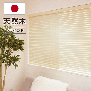 yŌy50%yˑfށz uCh I[_[ ؐ ؖ EbhuCh uChJ[e  ^ y VR  C Ռ ՔM  ̌ k 1cmP  rO a Vz AEg