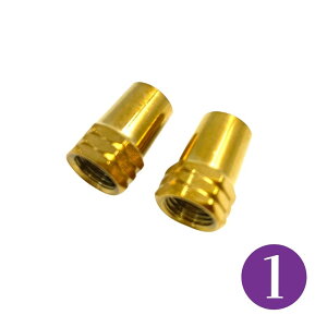 ėpA~o GAouLbv 2Zbg/Air Valve Cap 2pcs