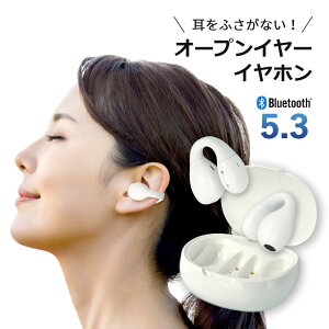 CXCz C[Jt Bluetooth Cz Bluetooth5.3 I[vC[ }CN USB[d IPX4h @\ ^b`ZT[ SBC AAC Ή Vv 킢 iPhone Android PC Q[ ʘb I