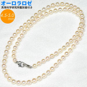 ^ I[Rose 4.5-5.0mm xr[p[ ^Ȋwӕʏt Pŋ AR^ I[ p[ ^ AR lbNX   Y