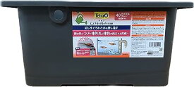 テトラ (Tetra) じょうろでキレイメダカ鉢 40 色光育成グレー