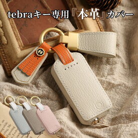 ＼アフターSALEクーポン発行中！／Tebraキー くすみカラー キーケース Clavis マンション ハンズフリー キーカバー　引っ越し祝い スマートキーカバー　マンションの鍵 プレゼント クリスマス ギフト