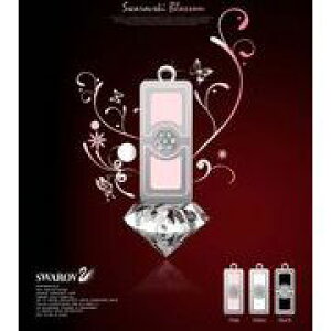 Memoria Swarov USB@4GB