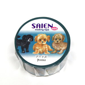 }XLOe[v SAIEN 20mm V[Y v[h kis_tr0096