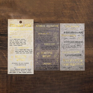 V[ BGM ~bNXV[gV[ bgm_bs-ms001_006 MIX Sheet Seal PET a XebJ[  r[W[G R[WXebJ[ r[W[G ߃V[