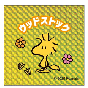 Xk[s[ RLXebJ[ kmo_226657_226680 V[XebJ[ decoStickers J~IWp KAMIOJAPAN LLXebJ[ FȃXk[s[ uU[Y tY ߃V[ Xk[s[ V