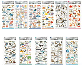 予約 12月上旬入荷 大人の図鑑シール kmo_226332_226342 シールステッカー 海の生き物 Seal Stickers カミオジャパン KAMIOJAPAN 大人図鑑シール リニューアル