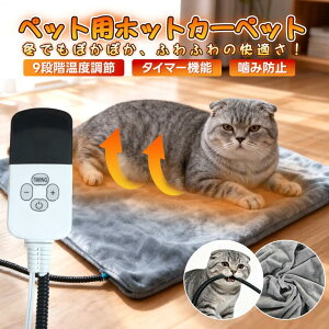 ybgpzbgJ[ybg ybgdCѕz ^C}[ ybg zbgJ[ybg ybgq[^[ L  pzbgJ[ybg 􂦂Jo[t dCq[^[ 9Kix ybgzbgJ[y