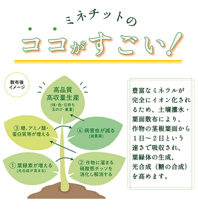 楽天市場 ミネチット100mlミネラル鉱物による濃縮植物活性液 スケールメリットクラブ