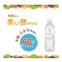 【公式】250万本突破 ランキング1位 希望の命水 500mL 生体ミネラル 60種類 ミネラル マルチミネラル ベースサプリメ…