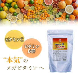 MEGA B&C 2000 メガB ビタミンB群高含有 ビタミンCも配合 3g×60袋 栄養機能食品（ビオチン）180g サプリメント