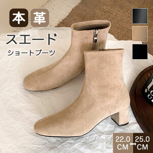 u[c V[gu[c XNGAgD fB[X Ou[c {v V[Y [q[ ₷ Ȃ y H~ t 傫TCY ɂ l i 5cm XG[h