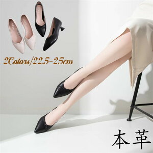 ɂȂ pvX {v [q[ 3.5cm v L C fB[X V[Y y  tH ʋ  |CebhgD N[g  tH[} ₷ _炩 傫TCY 