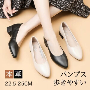 |CebhgD pvX fB[X ₷ [q[ 5cmq[ ɂȂ [q[pvX |CebhgDpvX V[Y Ȃ Ǝ w p[eB 񎟉 