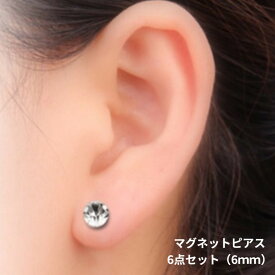 マグネットピアス 6点セット 6mm PAS-2020 両耳 ノンホールピアス シンプルデザイン レディース 可愛い 送料無料 フェイクピアス 人気ピアス ピアス プレゼント おすすめ ジルコニア フェイク レディース アクセサリー