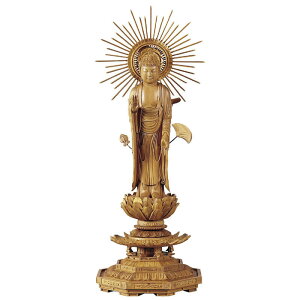 yzy{zE / ^@ J@yh pzi3.0`5.0 / F19.0cm`32.5cmj