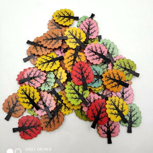 50̖ؐ̃JtȑIȃc[{^DIYNtgpip2̌