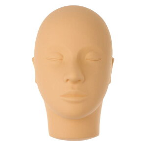 \tgV[jO}lLwbh.^gD[}l[jO܂GNXe.Og[jOVRfwbh.24 X 13.cm