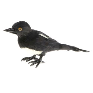 AȃO}OpCf.LbYt@[ߋ.H|iRNV.Ƃ̑i