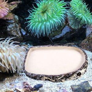 ঒ޗpt[hfBbV{Eav[gapa{EeEM