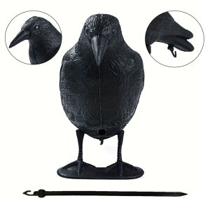 Crow.Ő̒̂߂̃AȌڂ̃nEB[JX