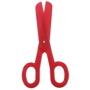 ʔ傫ȃvX`bN͂݃RfBsGRX`[ , 