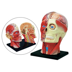 4DgݗĂꂽlԂ̍ỉUwIfUwIf̍i̓