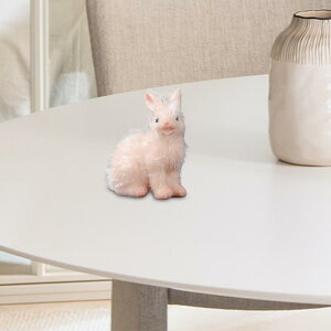 ETM̃tBMA  V~[VETM̒u p[eB[̋LOi fXNI[ig