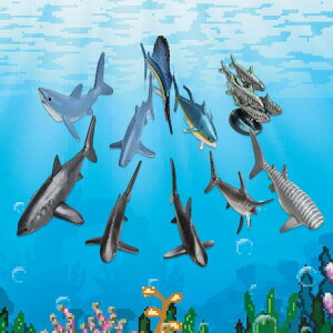 10̊Cmfpu[tBMAfvCZbgj̎qp