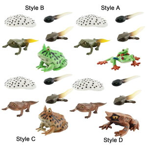 JG Ct TCN fFmCt TCNtBMA vWFNĝ