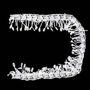 1[hn[XgAbvPDDIYNtg[X^bZ{